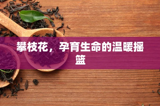 攀枝花，孕育生命的温暖摇篮