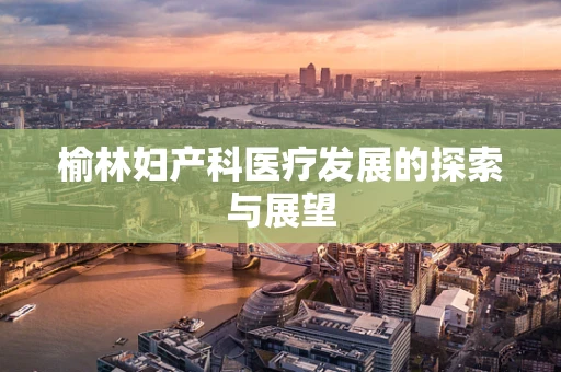 榆林妇产科医疗发展的探索与展望