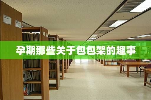 孕期那些关于包包架的趣事