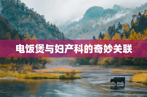 电饭煲与妇产科的奇妙关联