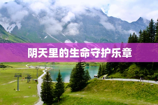阴天里的生命守护乐章