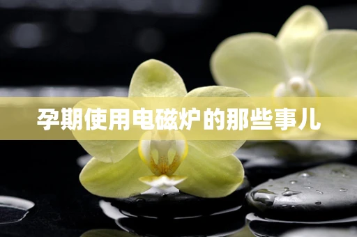 孕期使用电磁炉的那些事儿