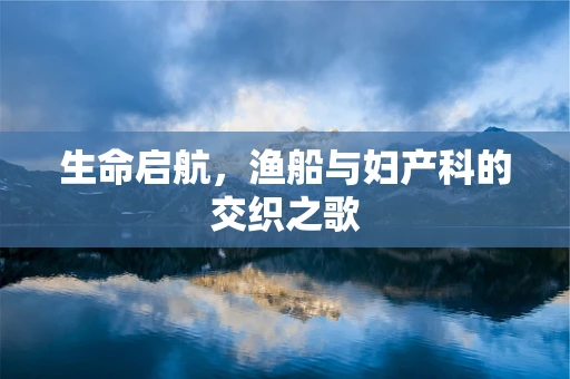 生命启航，渔船与妇产科的交织之歌