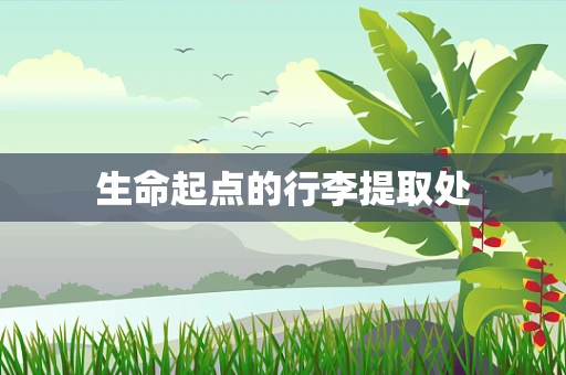 生命起点的行李提取处