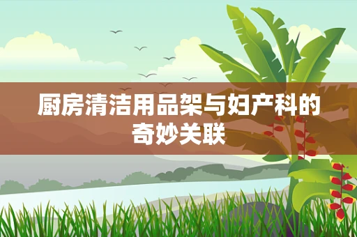 厨房清洁用品架与妇产科的奇妙关联