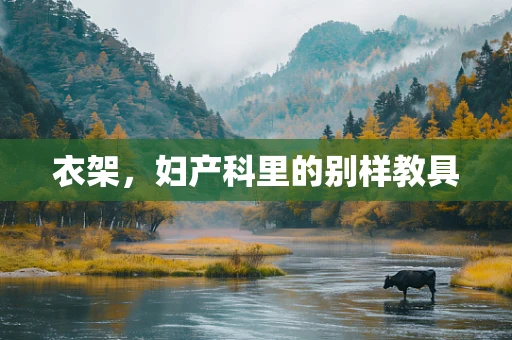衣架，妇产科里的别样教具