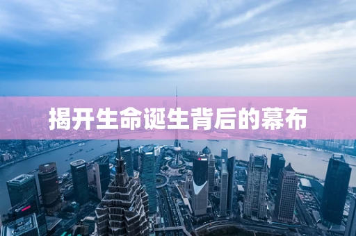 揭开生命诞生背后的幕布