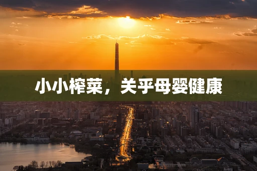 小小榨菜，关乎母婴健康