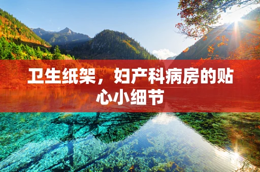 卫生纸架，妇产科病房的贴心小细节