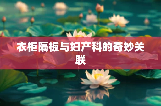 衣柜隔板与妇产科的奇妙关联