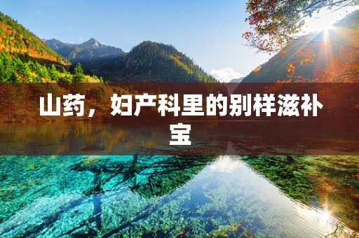 山药，妇产科里的别样滋补宝