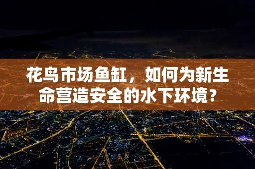 花鸟市场鱼缸，如何为新生命营造安全的水下环境？
