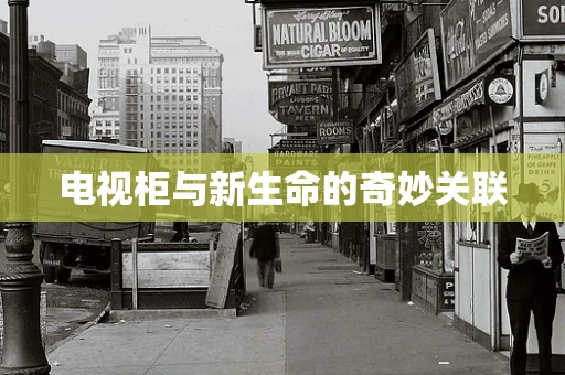 电视柜与新生命的奇妙关联