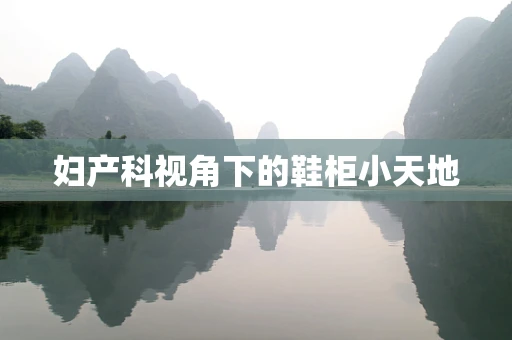 妇产科视角下的鞋柜小天地