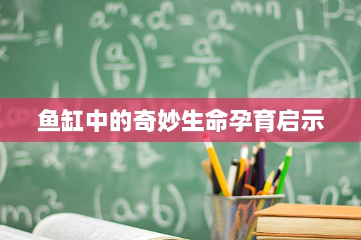 鱼缸中的奇妙生命孕育启示