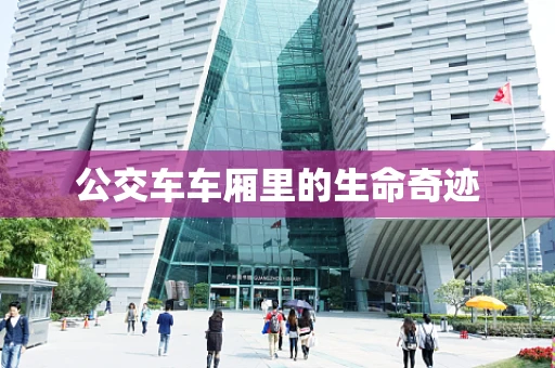 公交车车厢里的生命奇迹