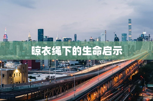 晾衣绳下的生命启示