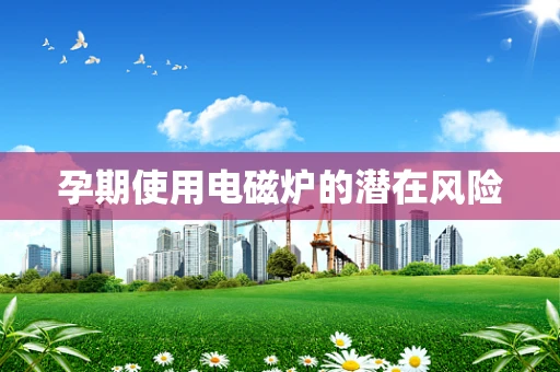 孕期使用电磁炉的潜在风险