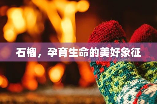 石榴，孕育生命的美好象征