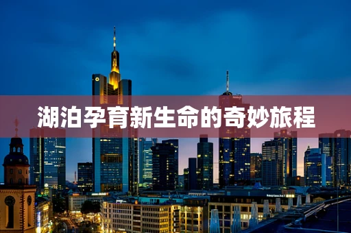 湖泊孕育新生命的奇妙旅程