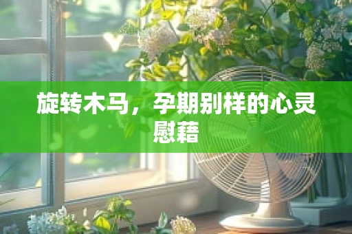 旋转木马，孕期别样的心灵慰藉