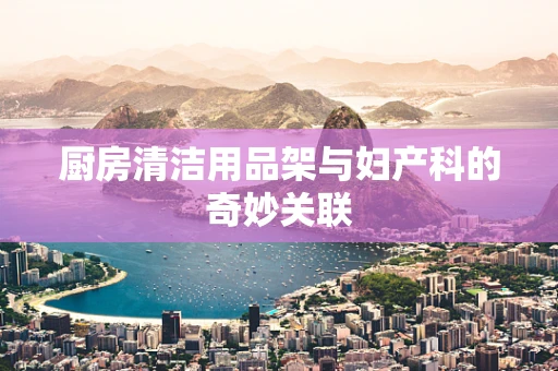 厨房清洁用品架与妇产科的奇妙关联