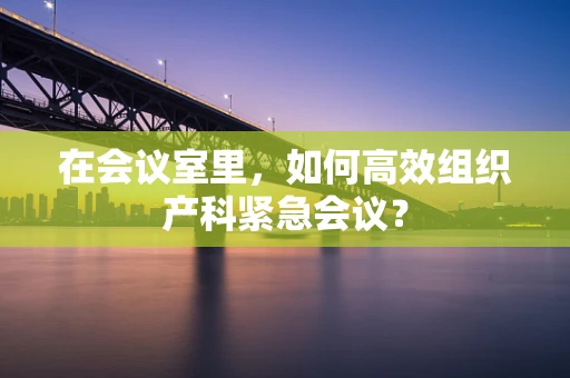 在会议室里，如何高效组织产科紧急会议？