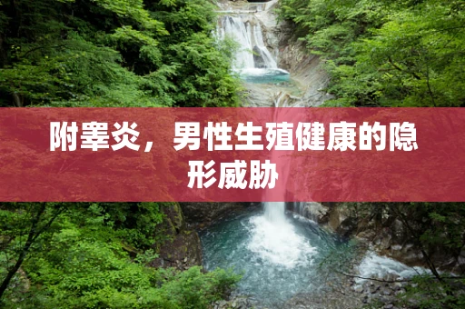 附睾炎，男性生殖健康的隐形威胁