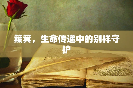 簸箕，生命传递中的别样守护