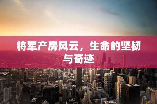 将军产房风云，生命的坚韧与奇迹