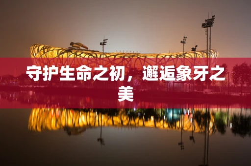 守护生命之初，邂逅象牙之美