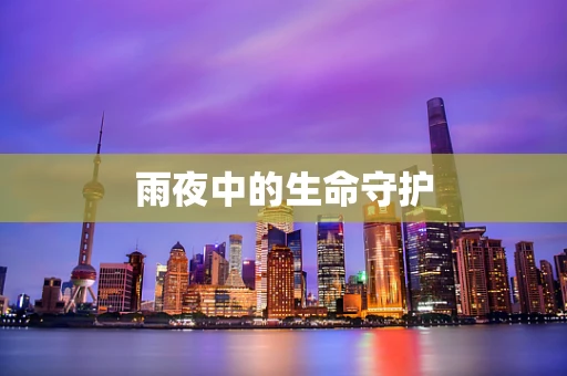 雨夜中的生命守护
