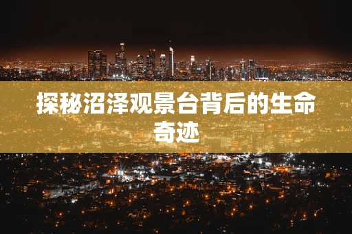 探秘沼泽观景台背后的生命奇迹