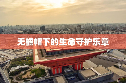 无檐帽下的生命守护乐章