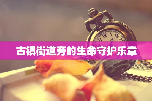 古镇街道旁的生命守护乐章