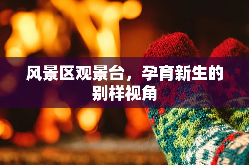 风景区观景台，孕育新生的别样视角