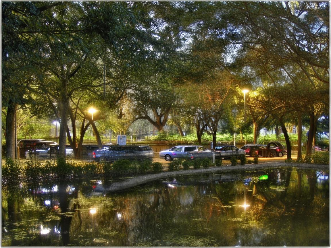 出租车停靠点旁的生命守护